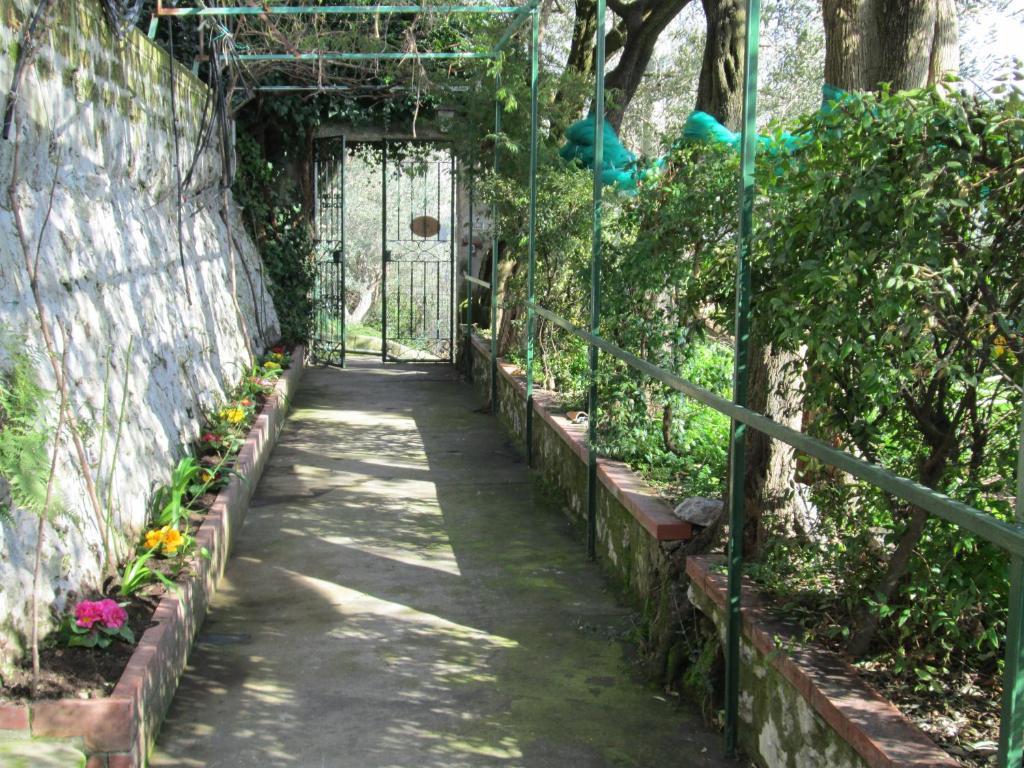 포지타노 룰리베토 B&B 외부 사진