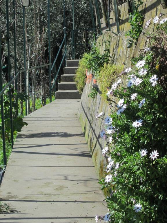 포지타노 룰리베토 B&B 외부 사진